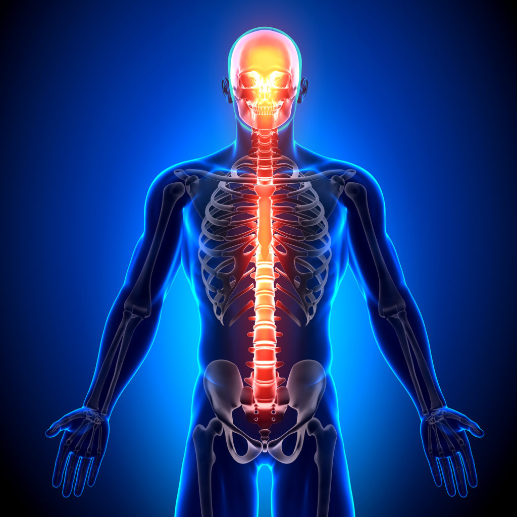 Find A Chiropractor Near Me - Best Rated Chiropractor Near You