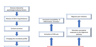 Headaches and Dysbiosis in Adults with Celiac Disease - Cureus