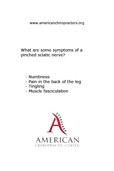 american chiropractors second image