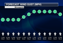 Forecast Headaches: Timing T-Storms in Summer