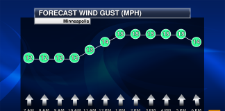 Forecast Headaches: Timing T-Storms in Summer